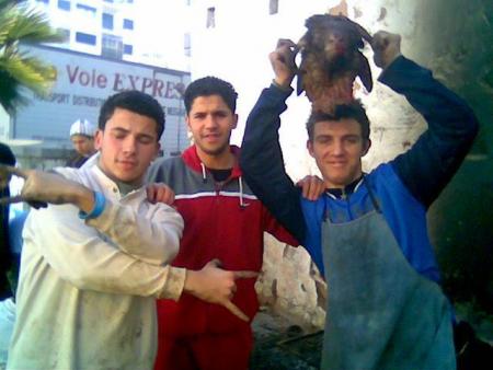 wlad lhouma